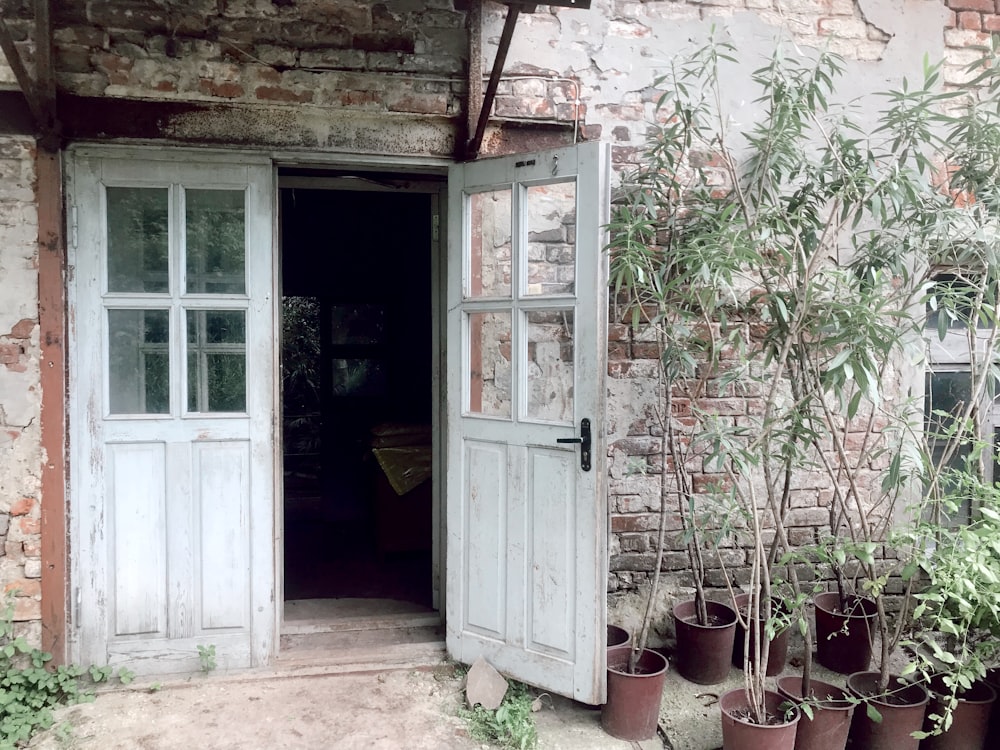 white wooden half-glass doors