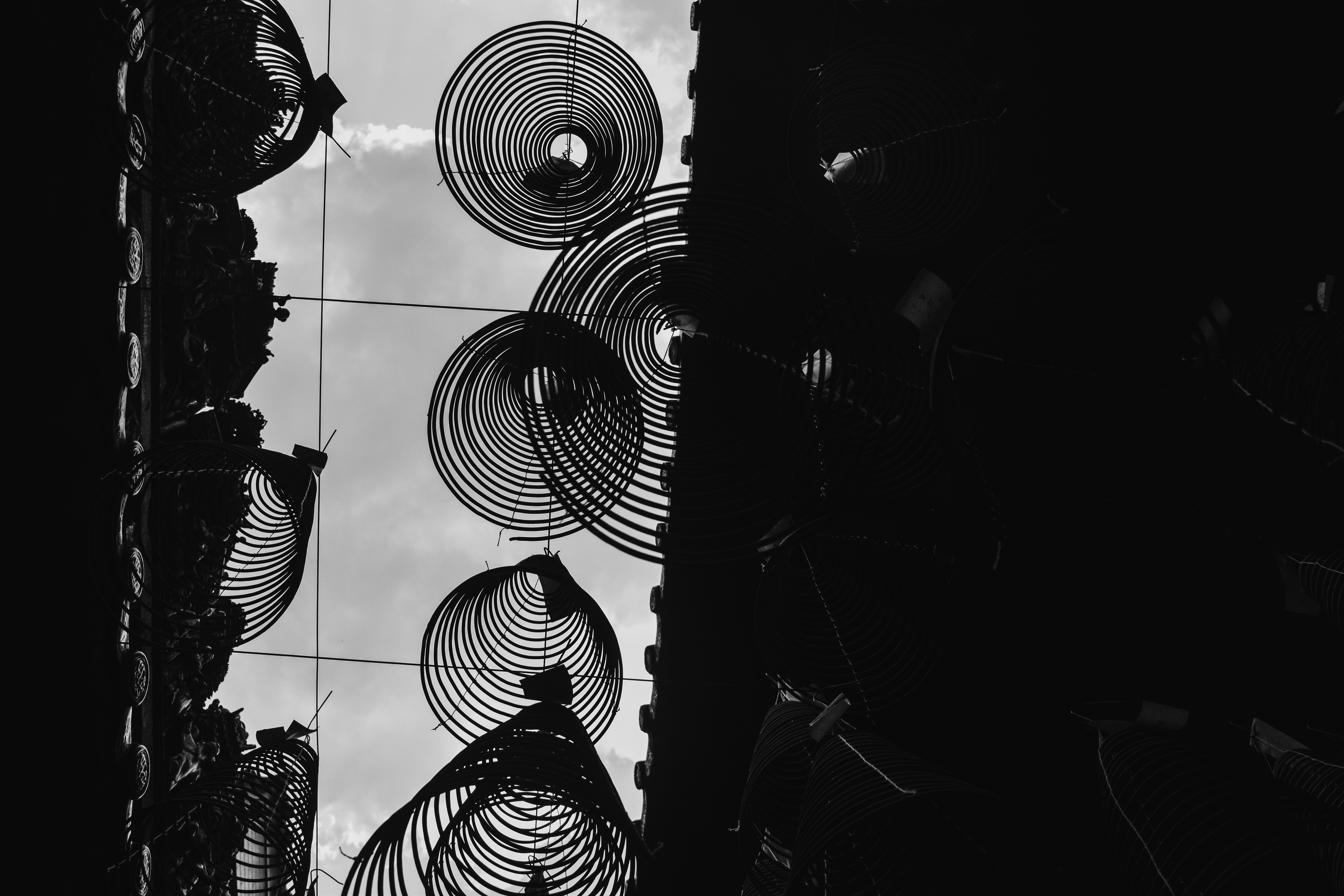 Photo by michu_dangquang