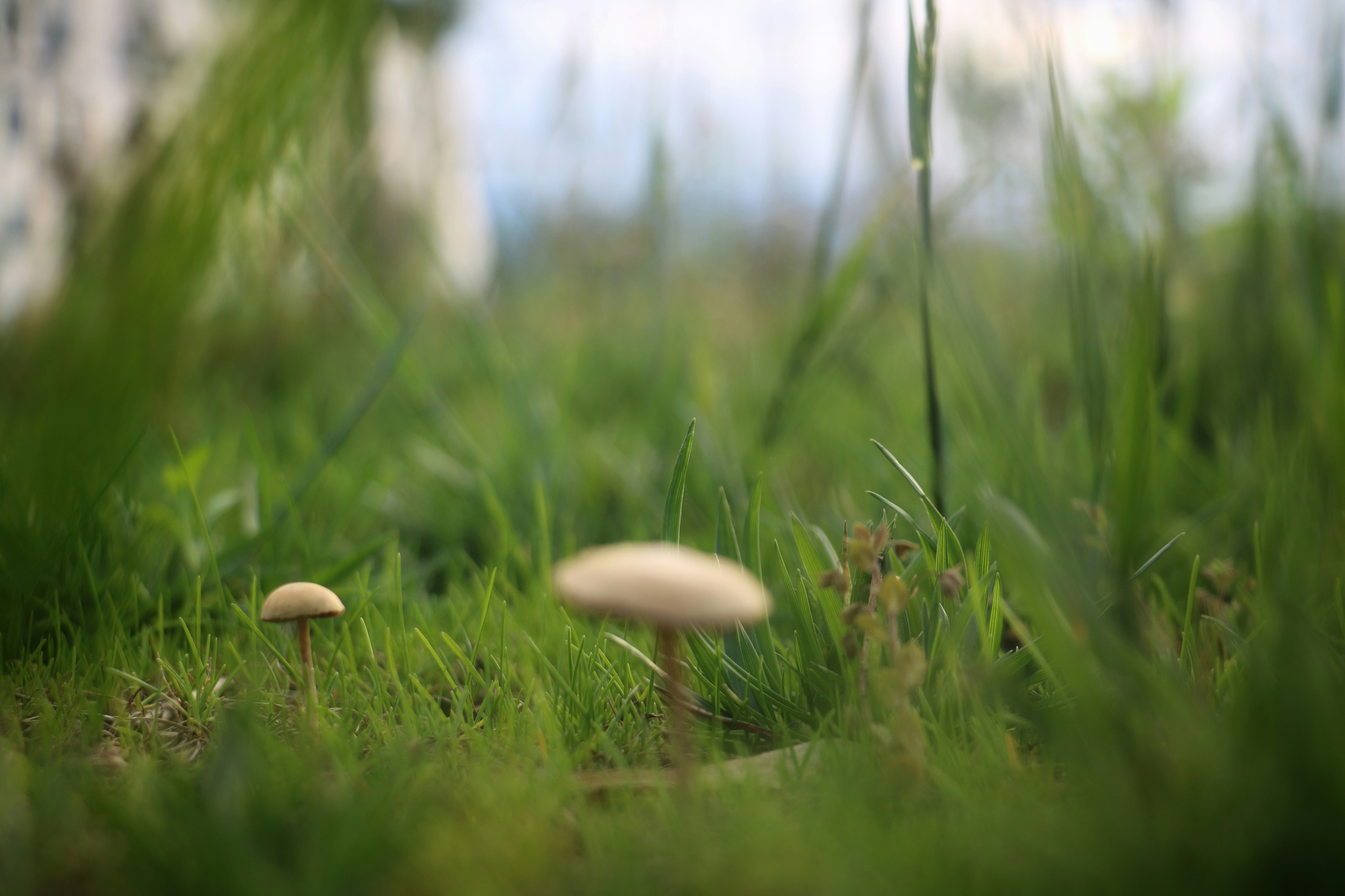 Photo by zincnode