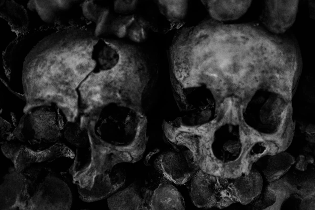 A researcher examining ancient human bones alongside modern heart scans in a bright, inviting lab.