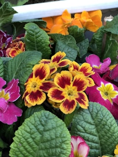 A festive arrangement of mixed seasonal flowers bursting with reds, yellows, and oranges.