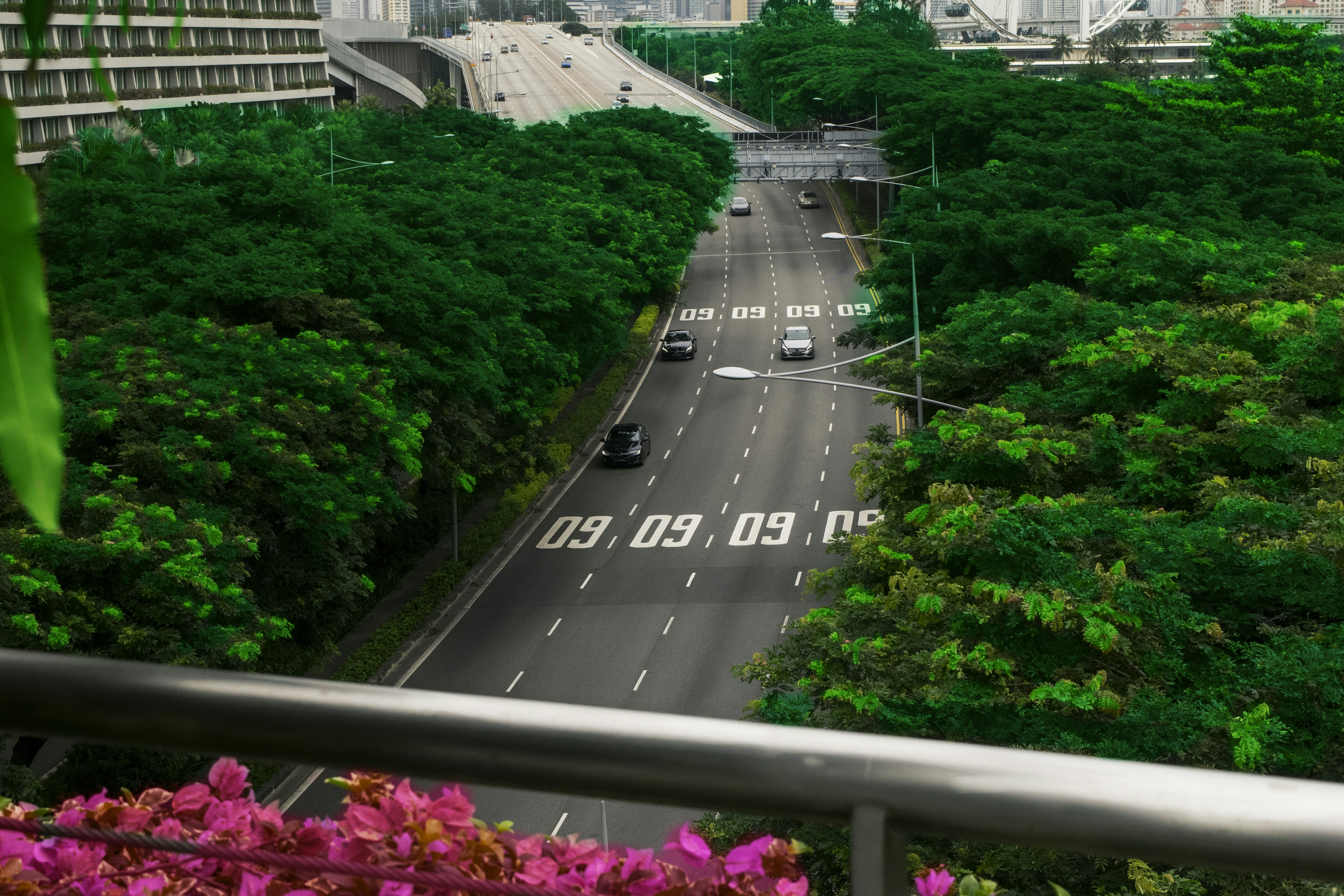 Photo by michu_dangquang