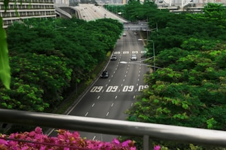 A bustling city highway lined with lush green trees on both sides, creating a scenic view. Several cars are visible driving on the multi-lane road, with a significant amount of greenery surrounding the area. Overhead, digital numbers are projected onto the road surface. In the foreground, a railing with vibrant pink flowers provides contrast to the surrounding greenery.
