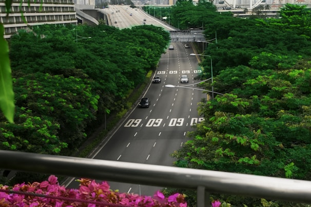 A bustling city highway lined with lush green trees on both sides, creating a scenic view. Several cars are visible driving on the multi-lane road, with a significant amount of greenery surrounding the area. Overhead, digital numbers are projected onto the road surface. In the foreground, a railing with vibrant pink flowers provides contrast to the surrounding greenery.