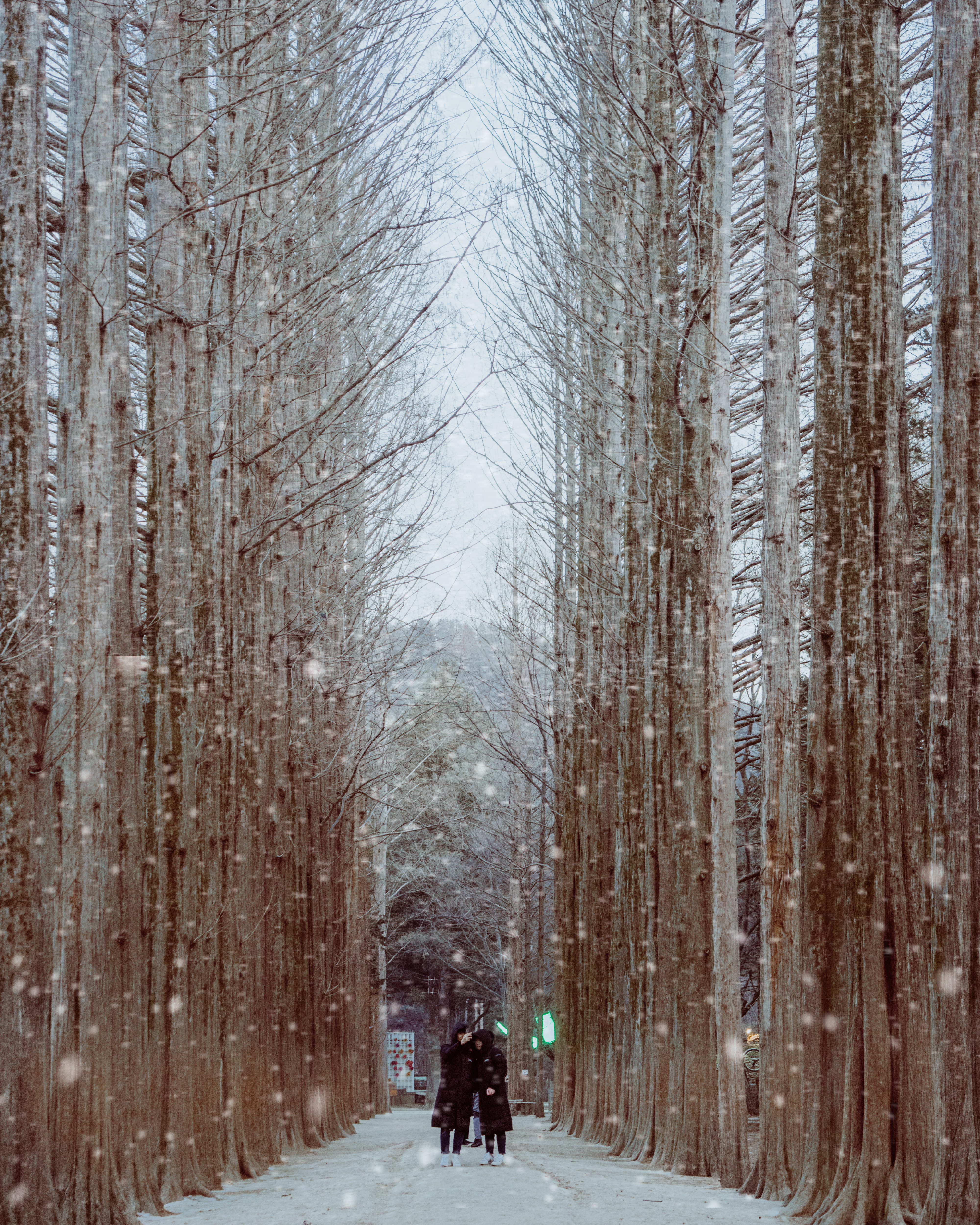 Photo by michu_dangquang