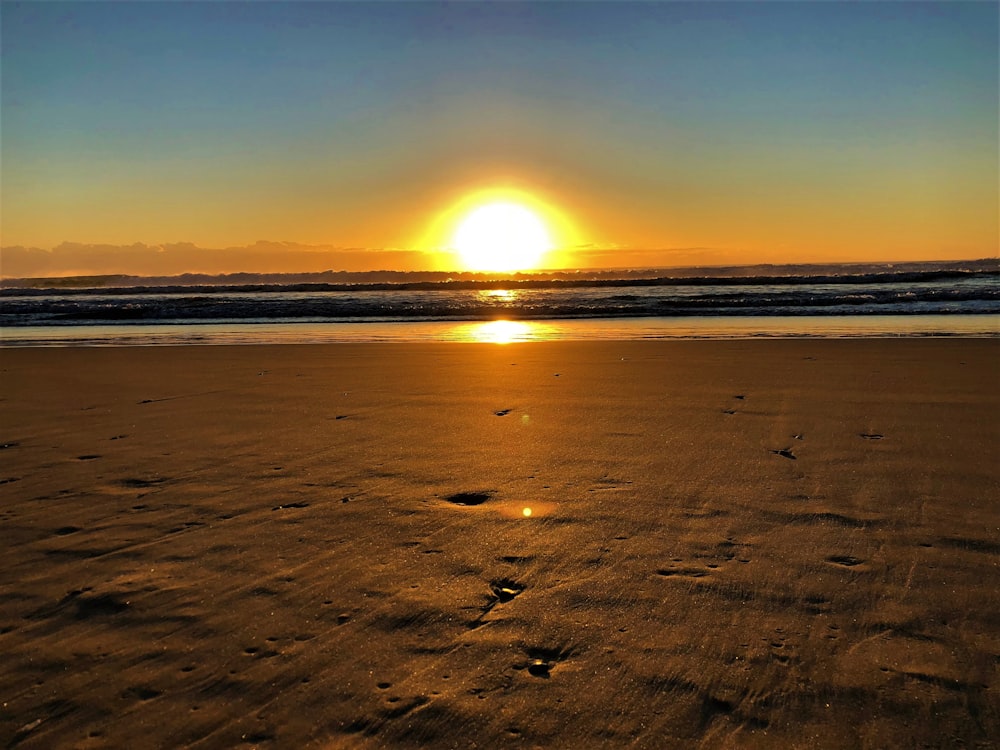 seashore photo during sunset