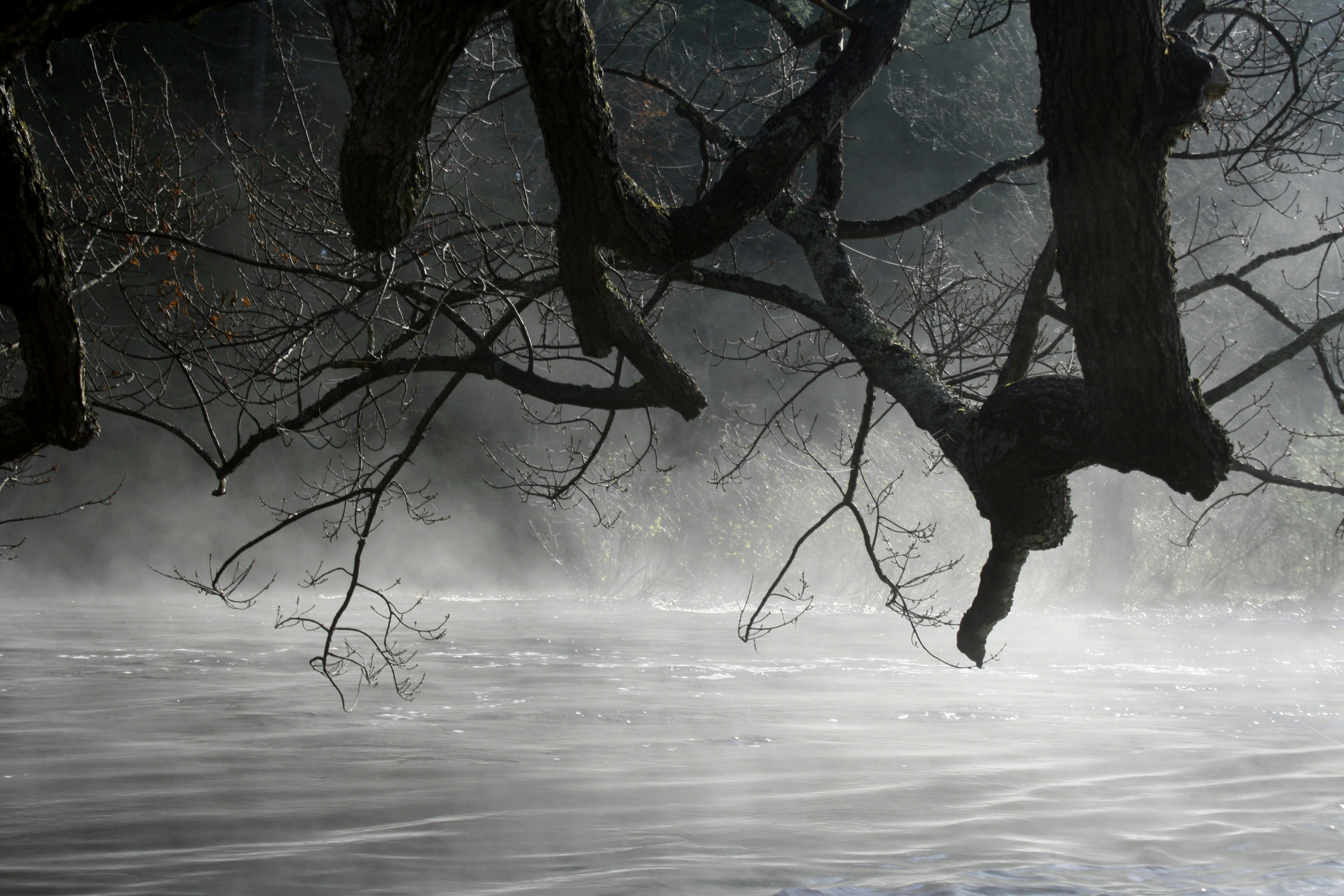 Photo by laura_varenka