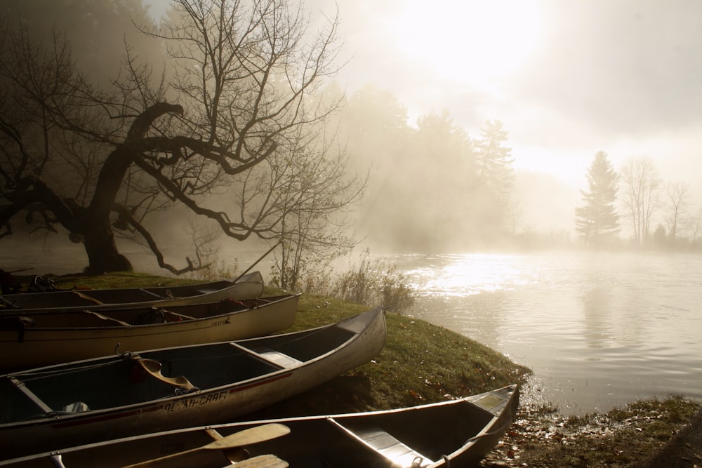 boats in river bank