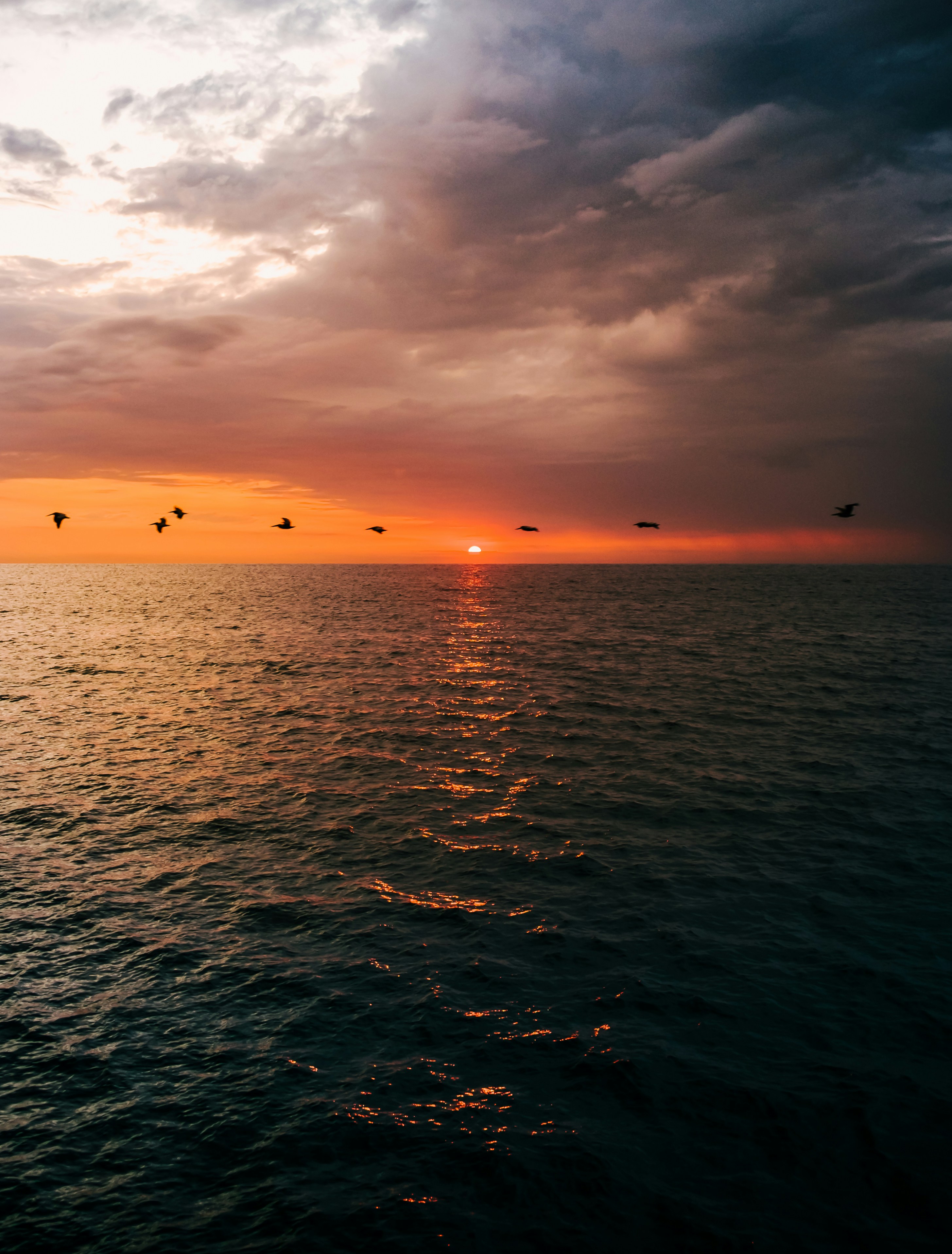 Discover the Best of Costa Mesa: 10 Places to Visit