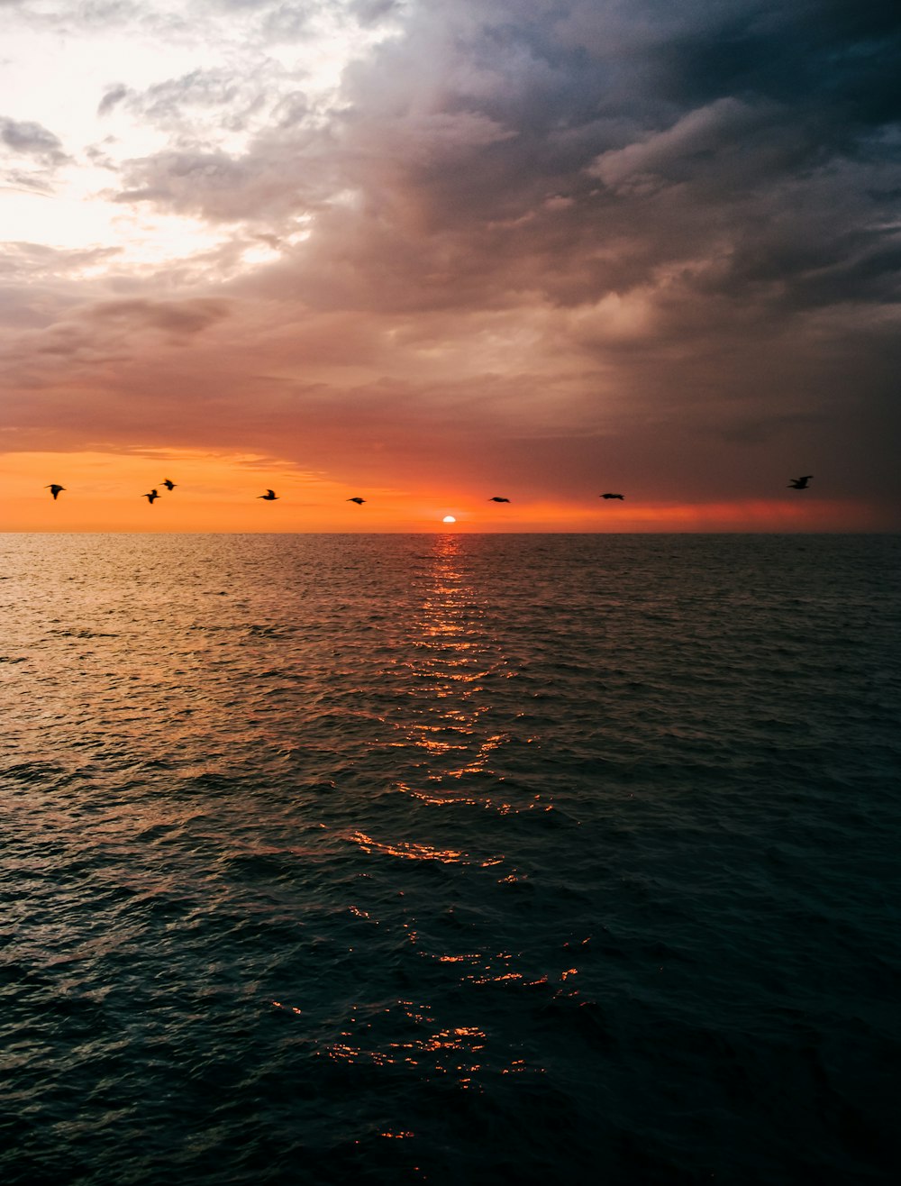 silhouette photo of body of water