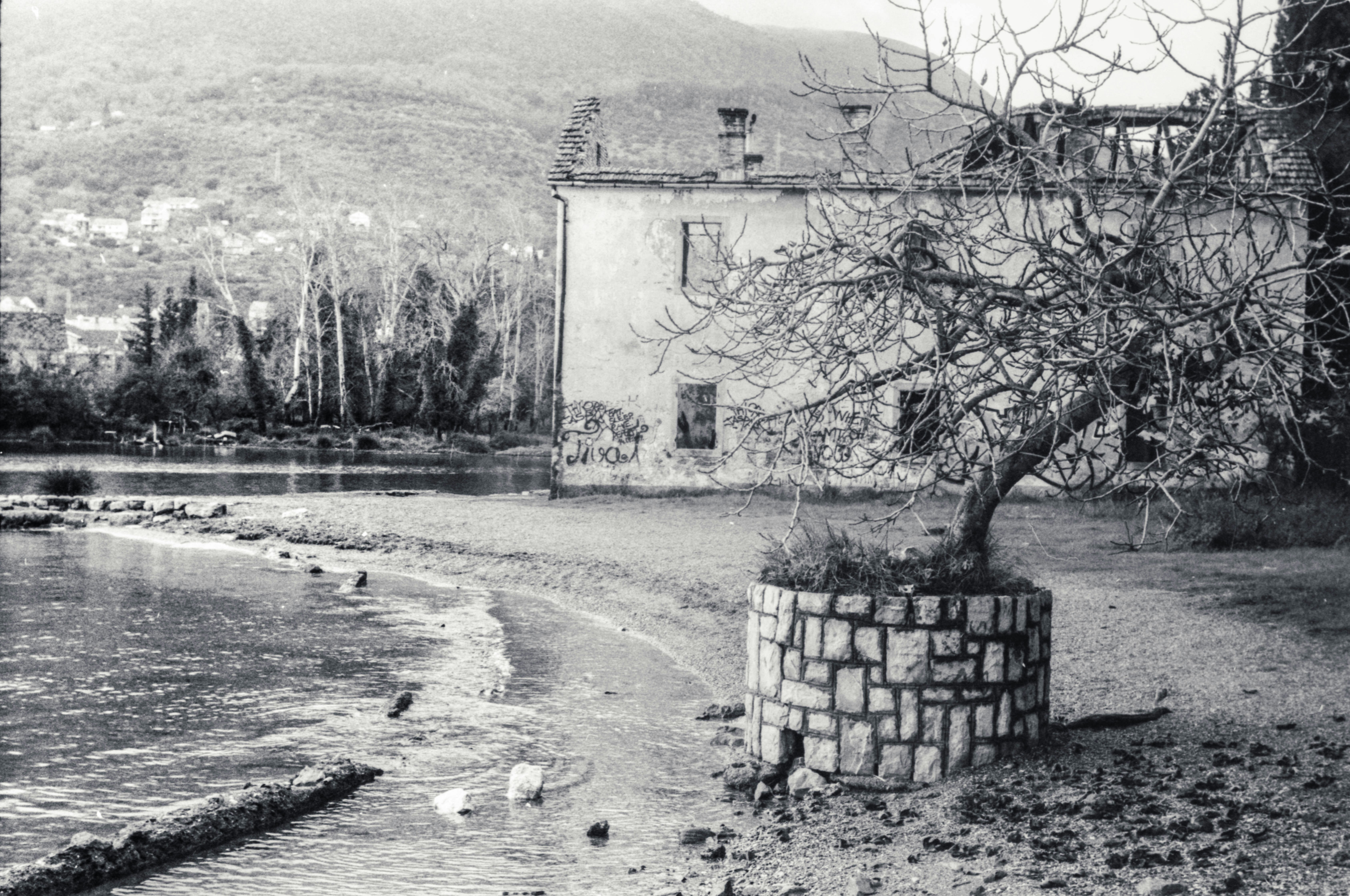 Photo by sennyrapoport