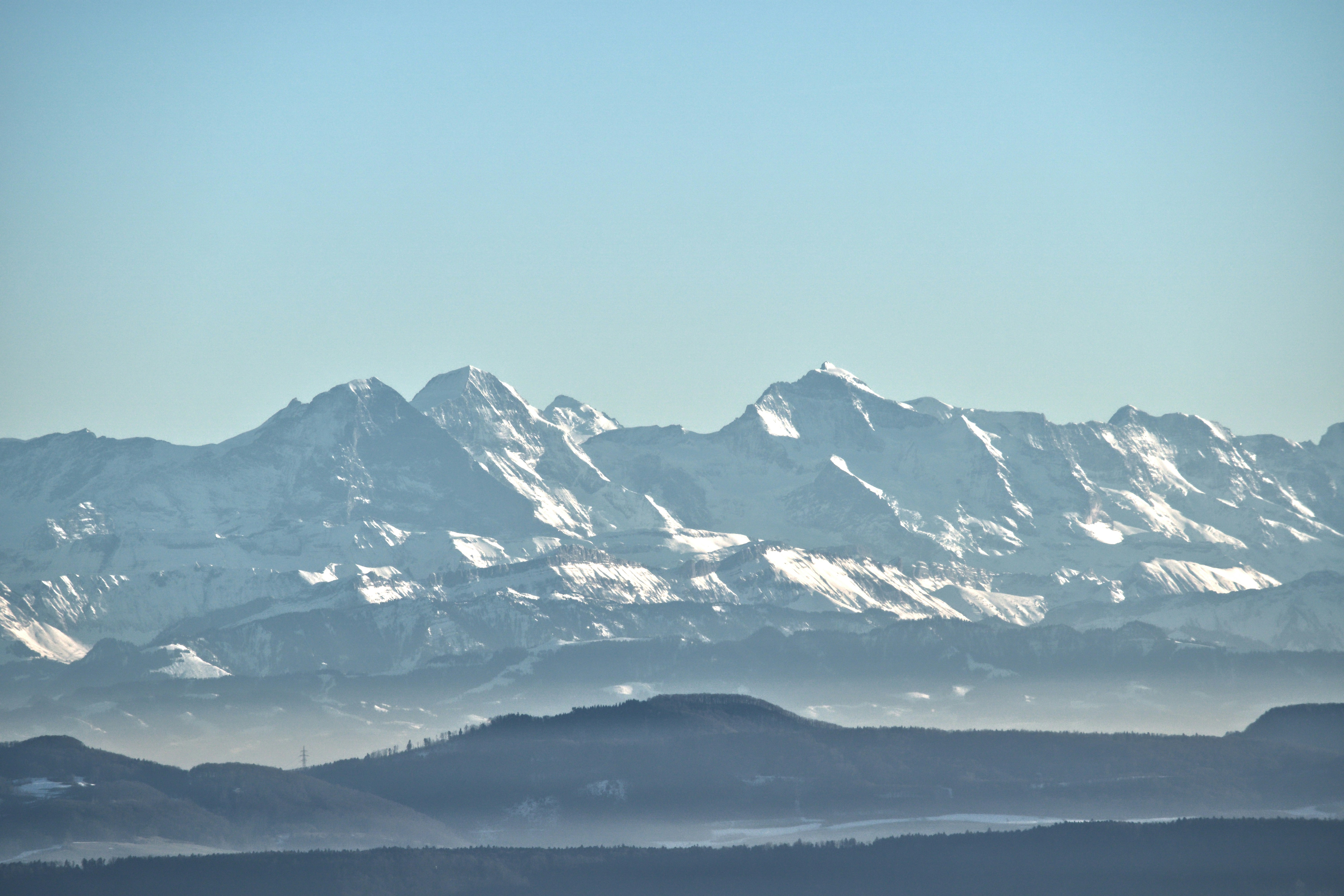 Photo by wolfgang_hasselmann