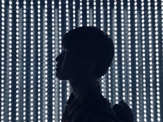 A silhouette of a person is seen against a backdrop of evenly spaced, glowing vertical LED lights that create a dramatic and futuristic effect.