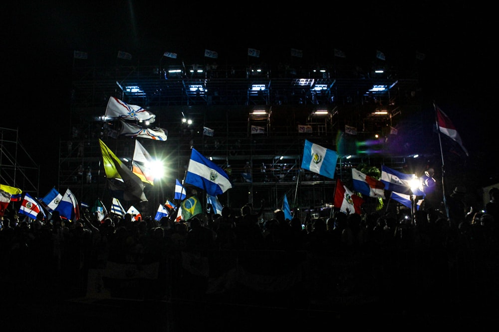 people waving United Nation flags surrounded with people