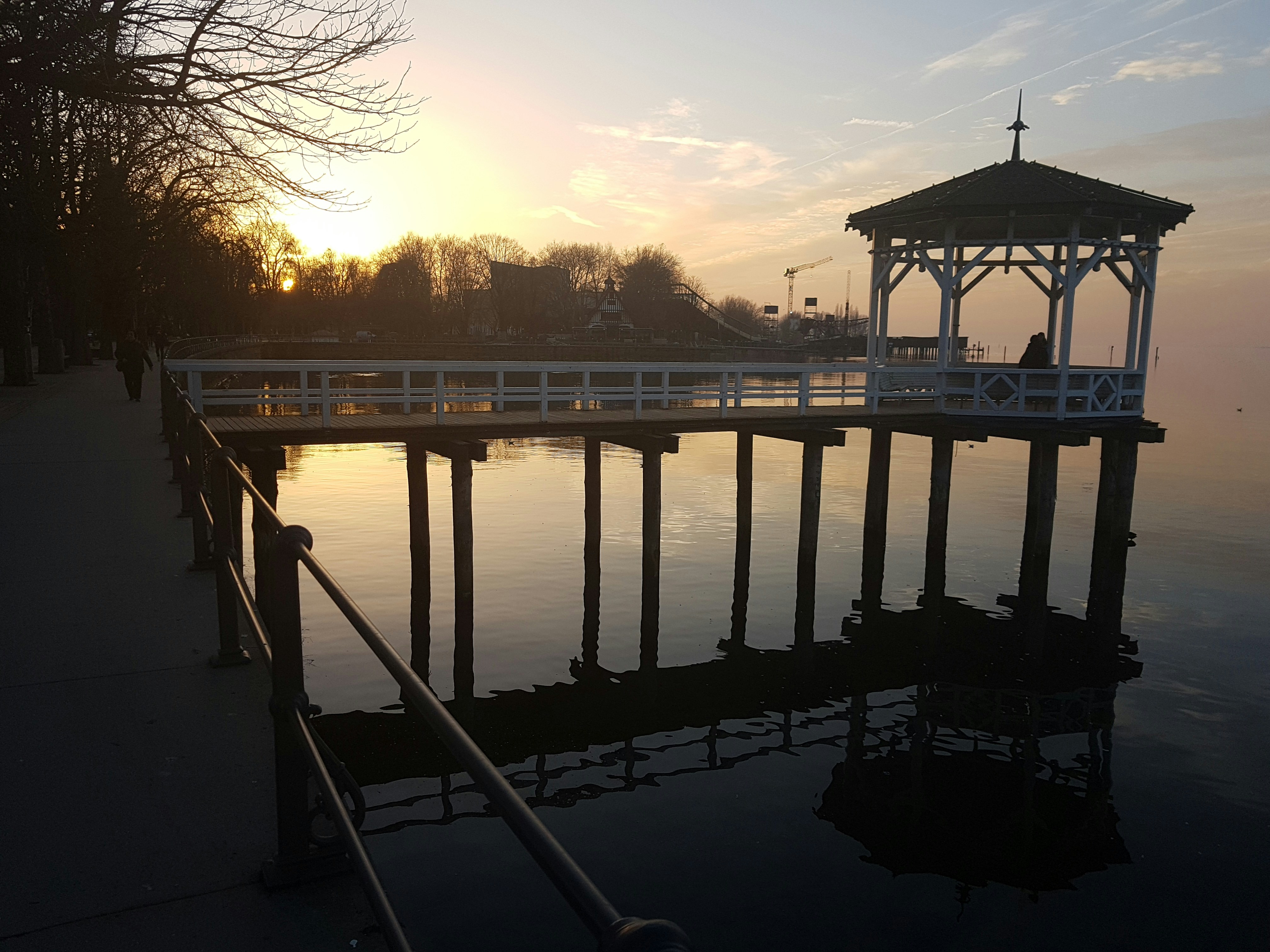 Schwanenweiher