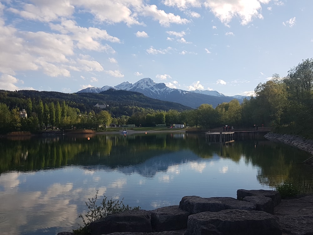 lake and trees during day