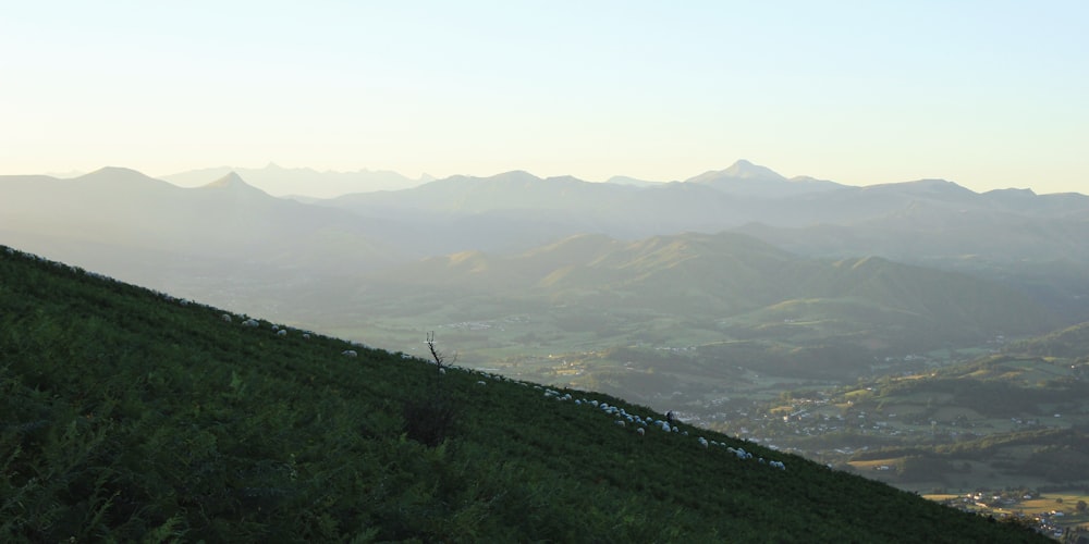 aerial photography of mountain