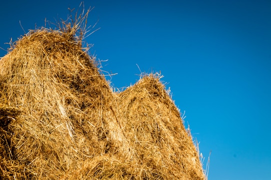 A tall stack of golden hay bales is set against a clear blue sky, forming a striking contrast between the earthy tones of the hay and the bright, expansive sky. The sunlight highlights the textures and intricacies of the straw.