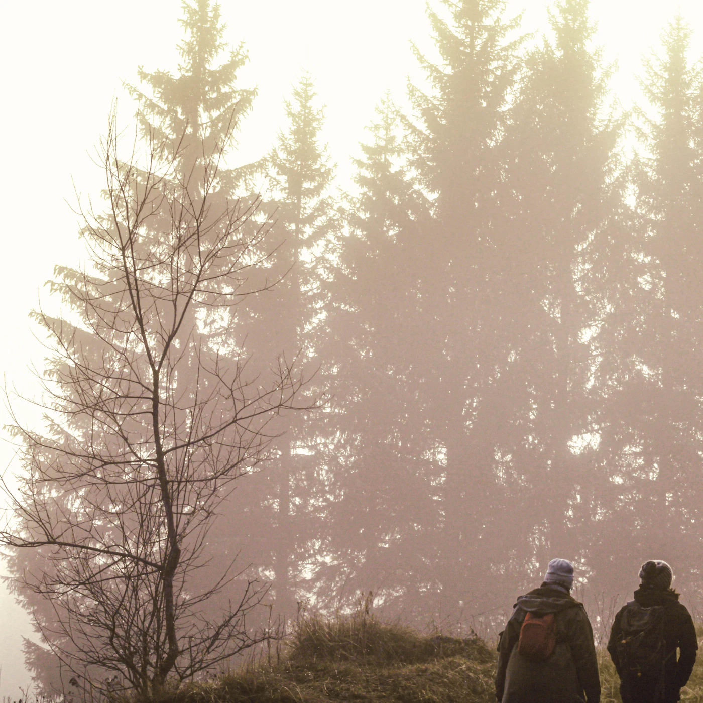 Zwei Menschen auf einem Waldweg