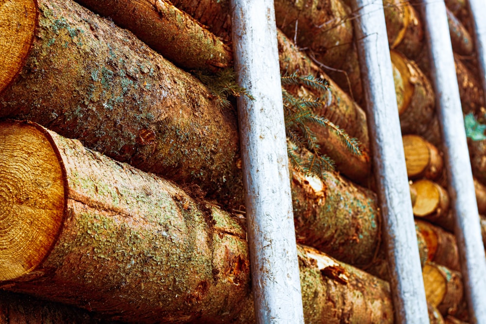 pile of brown logs