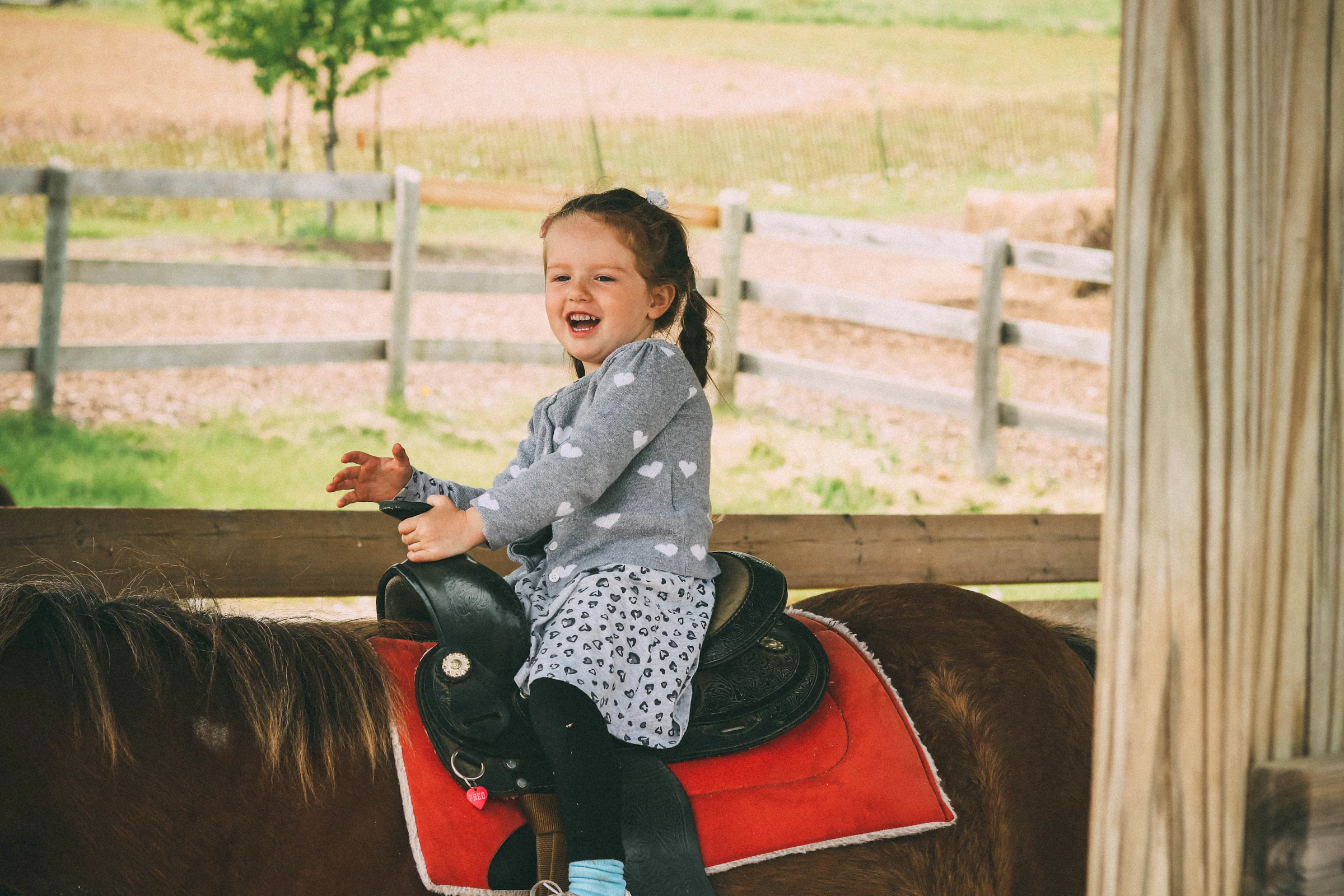 A smiling little girl sitting on a horse