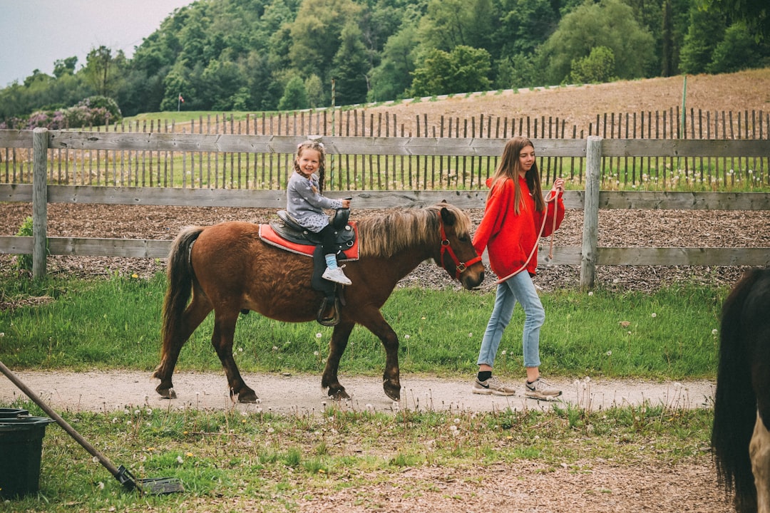 girl riding brown horse