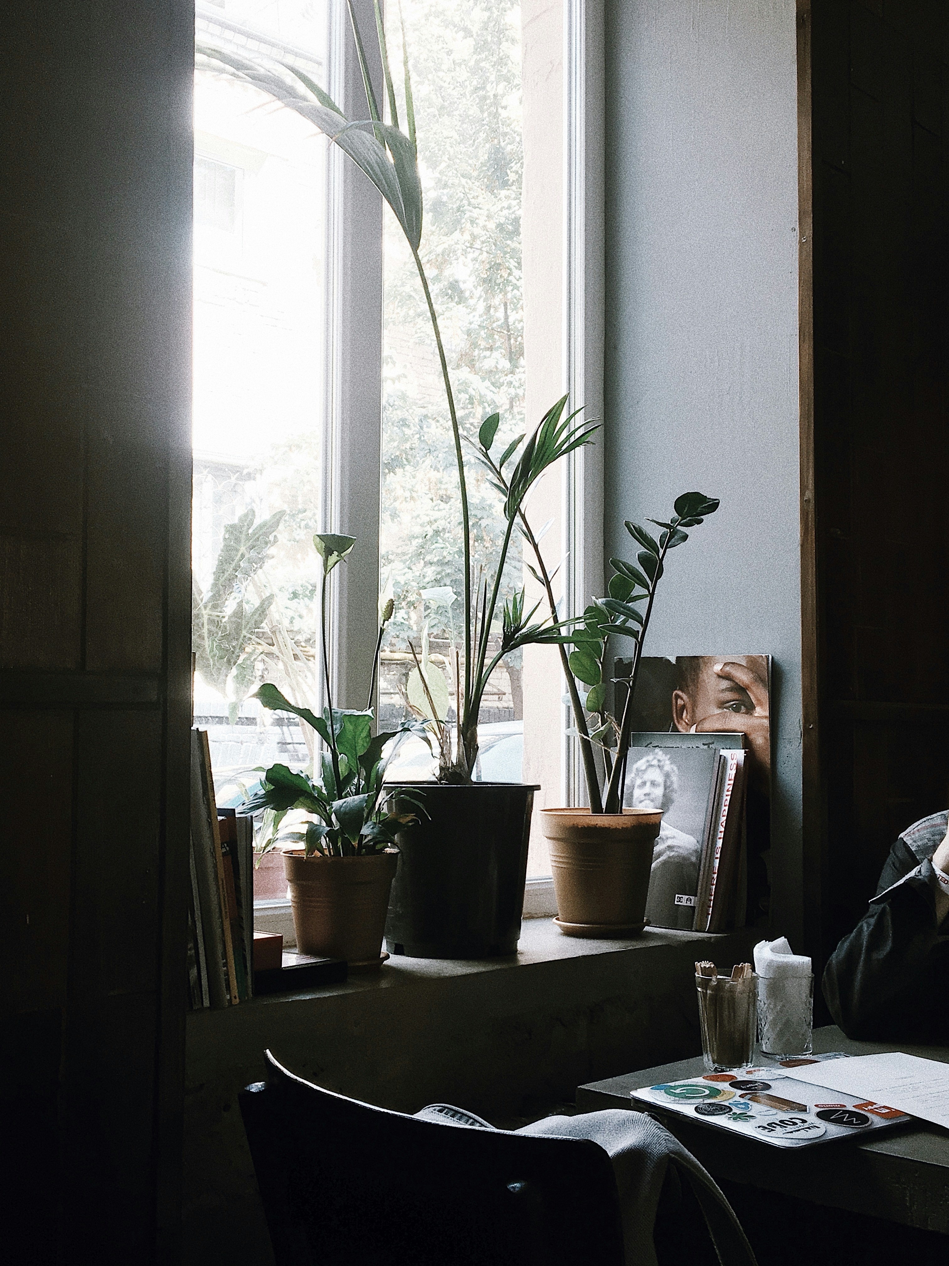 Photo by kotliarenko