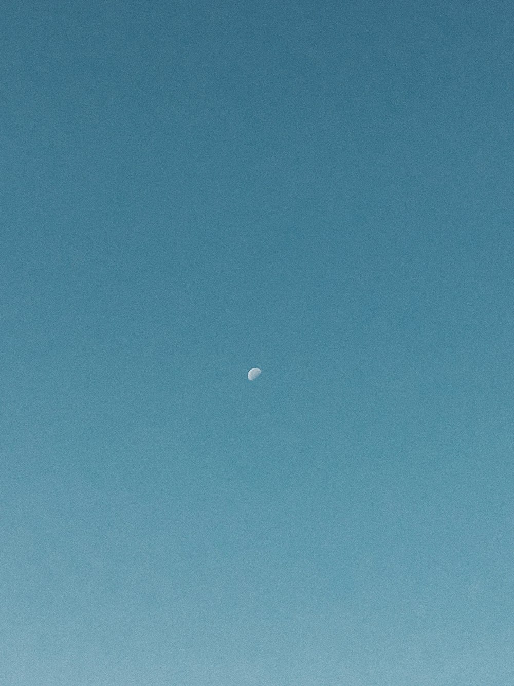 demi-lune