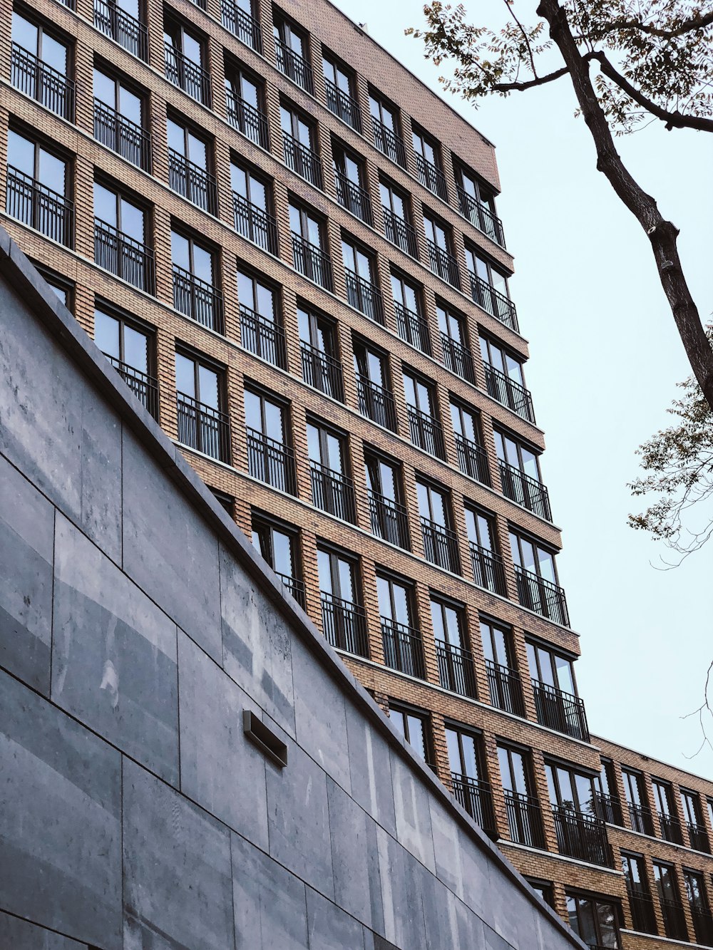 a tall building with lots of windows next to a tree