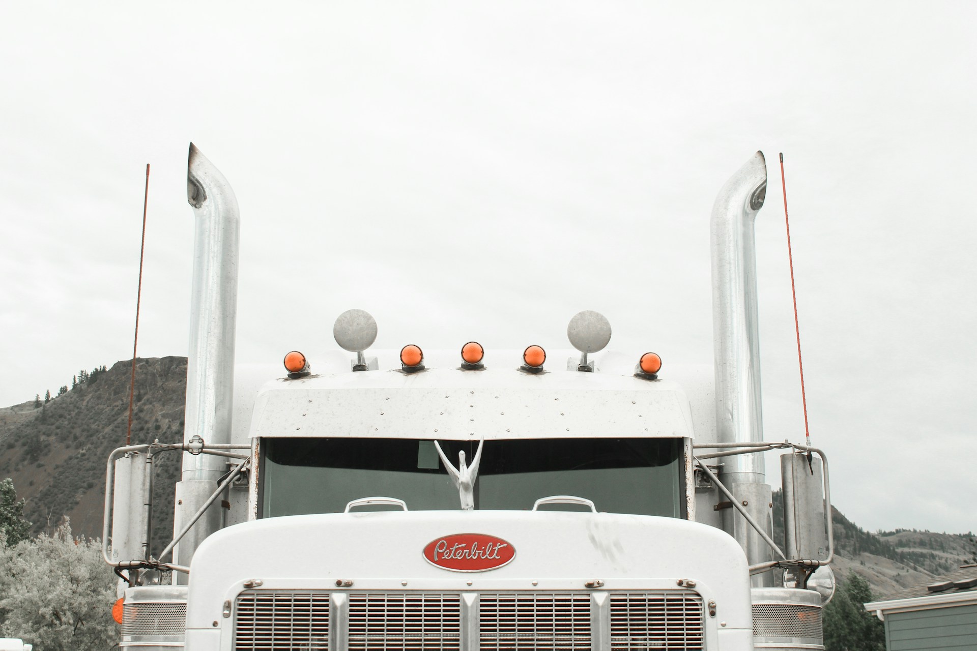 white truck vehicle