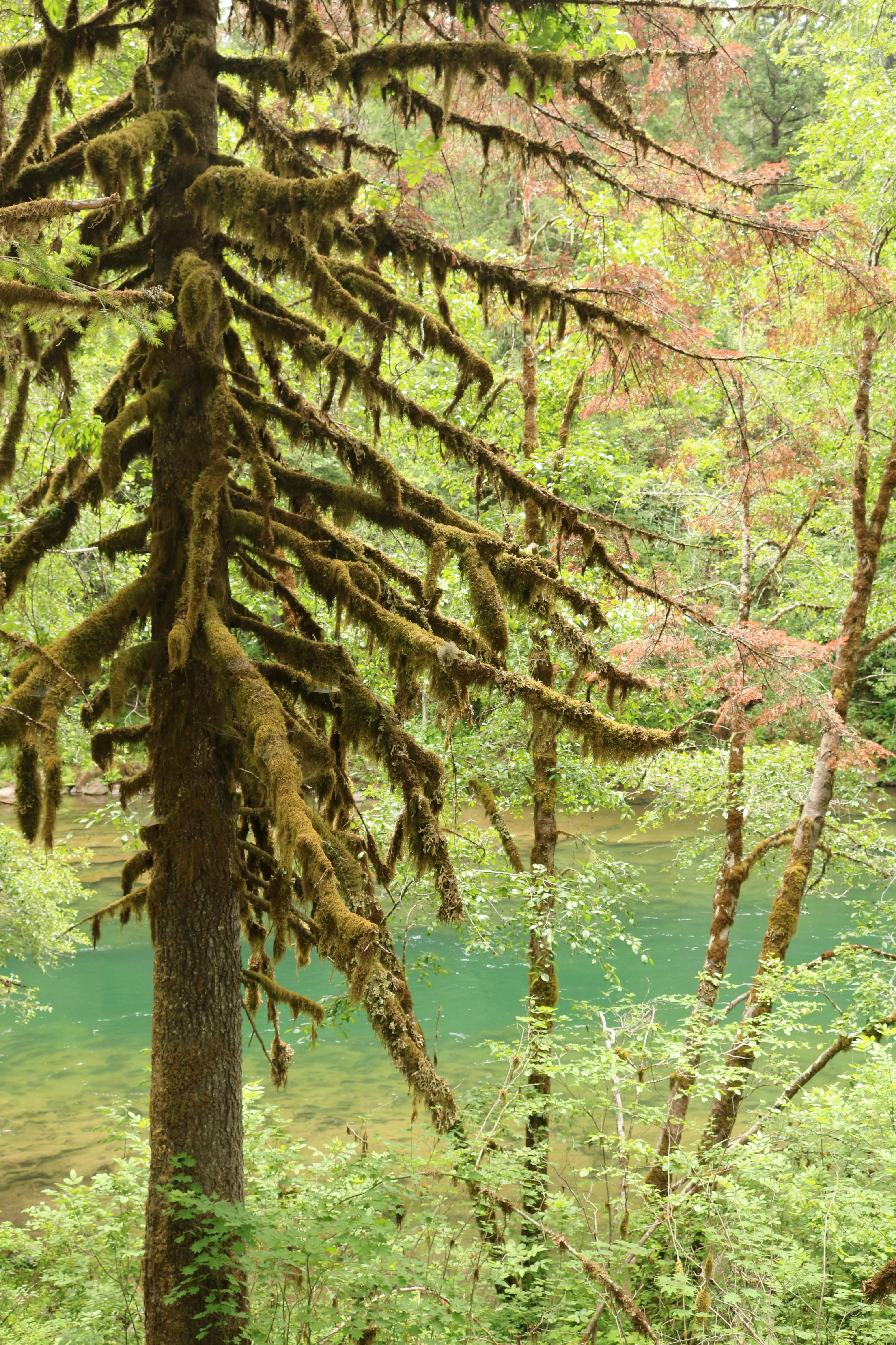 Photo by davidjboozer