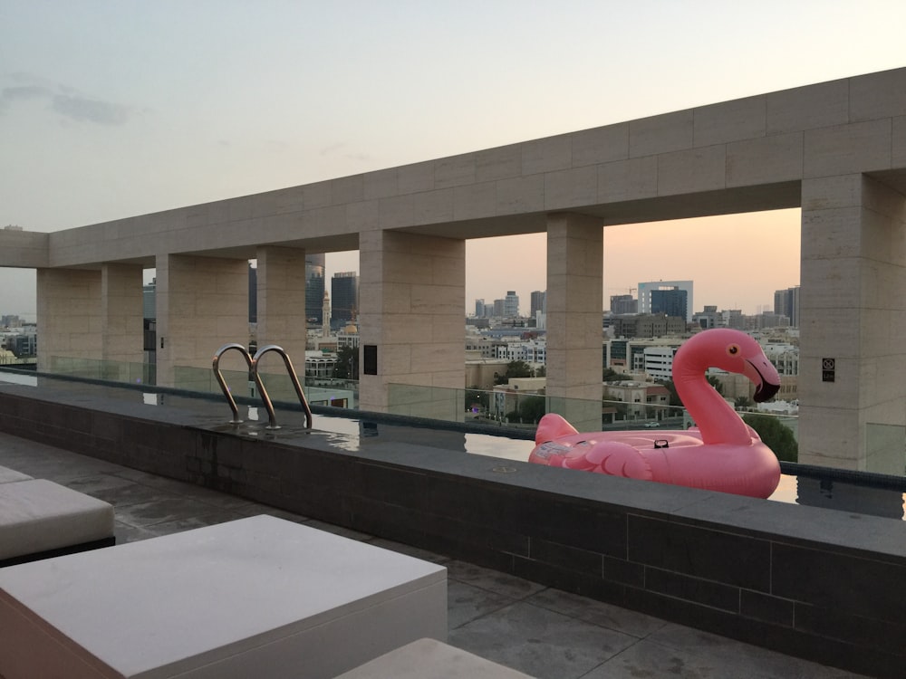 pink swan floater on swimming pool