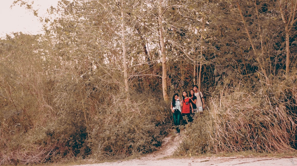 people walking out of the forest during day