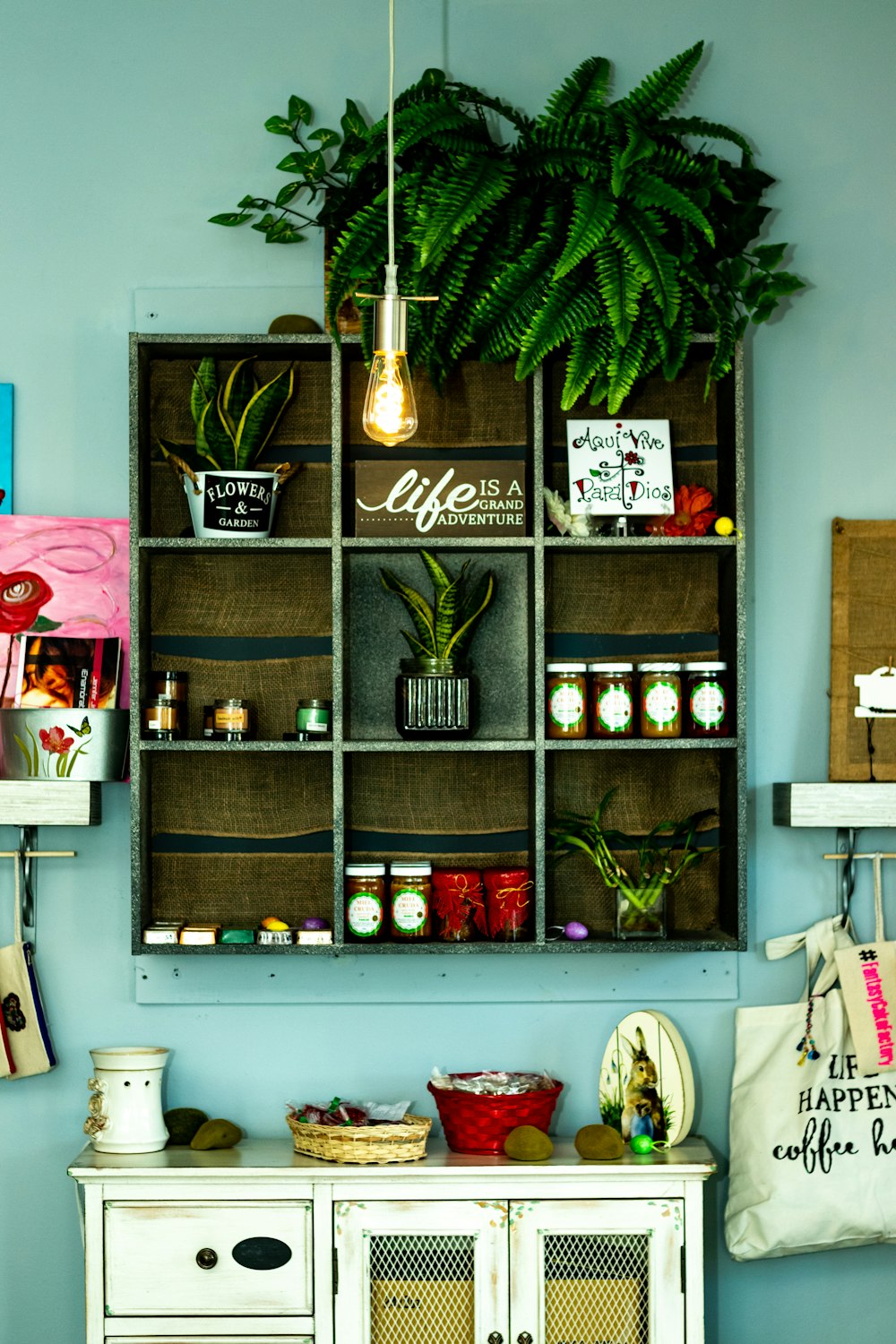 jars and plants on wooden wall rack