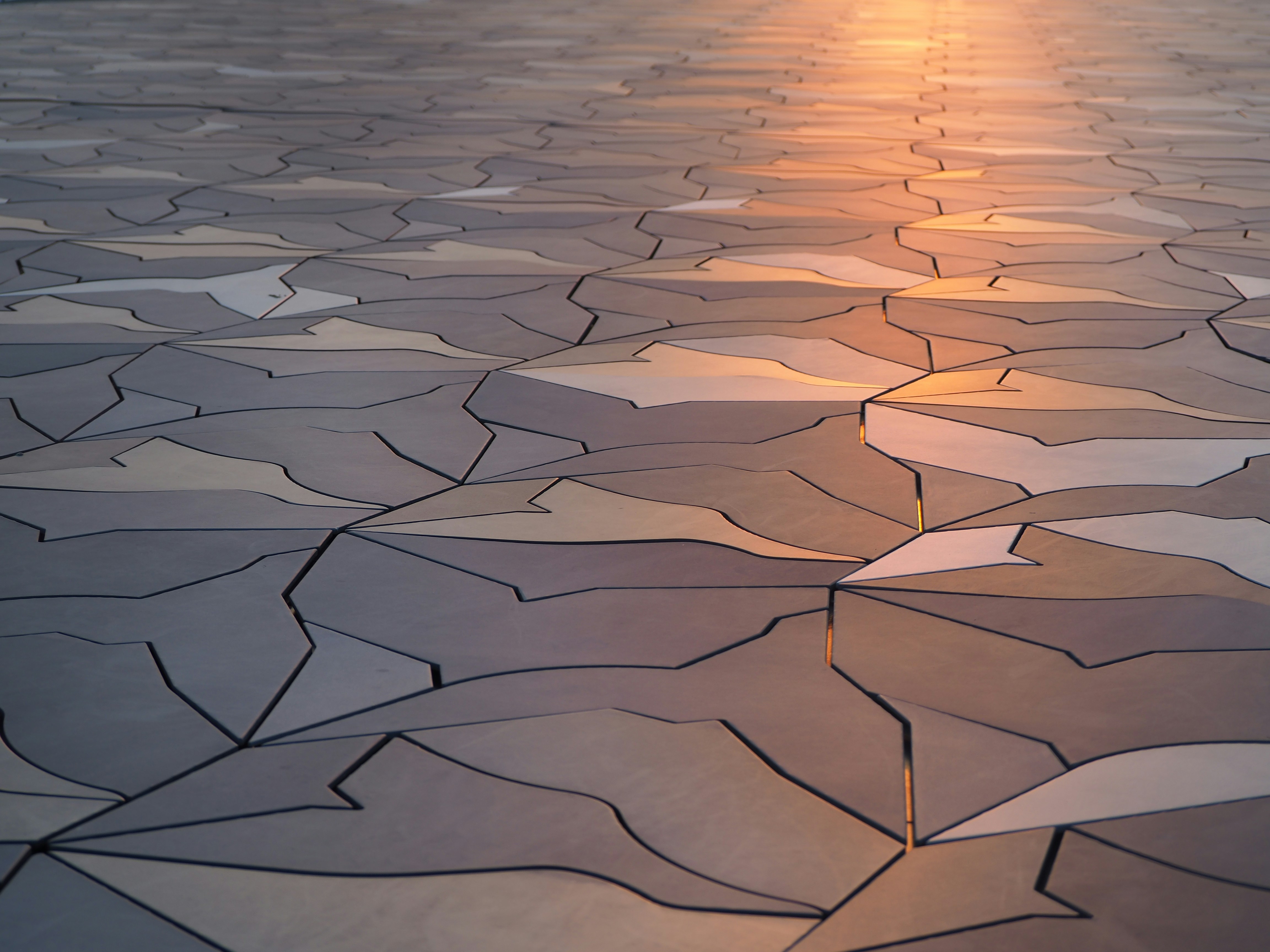 Photo by nimbus_vulpis