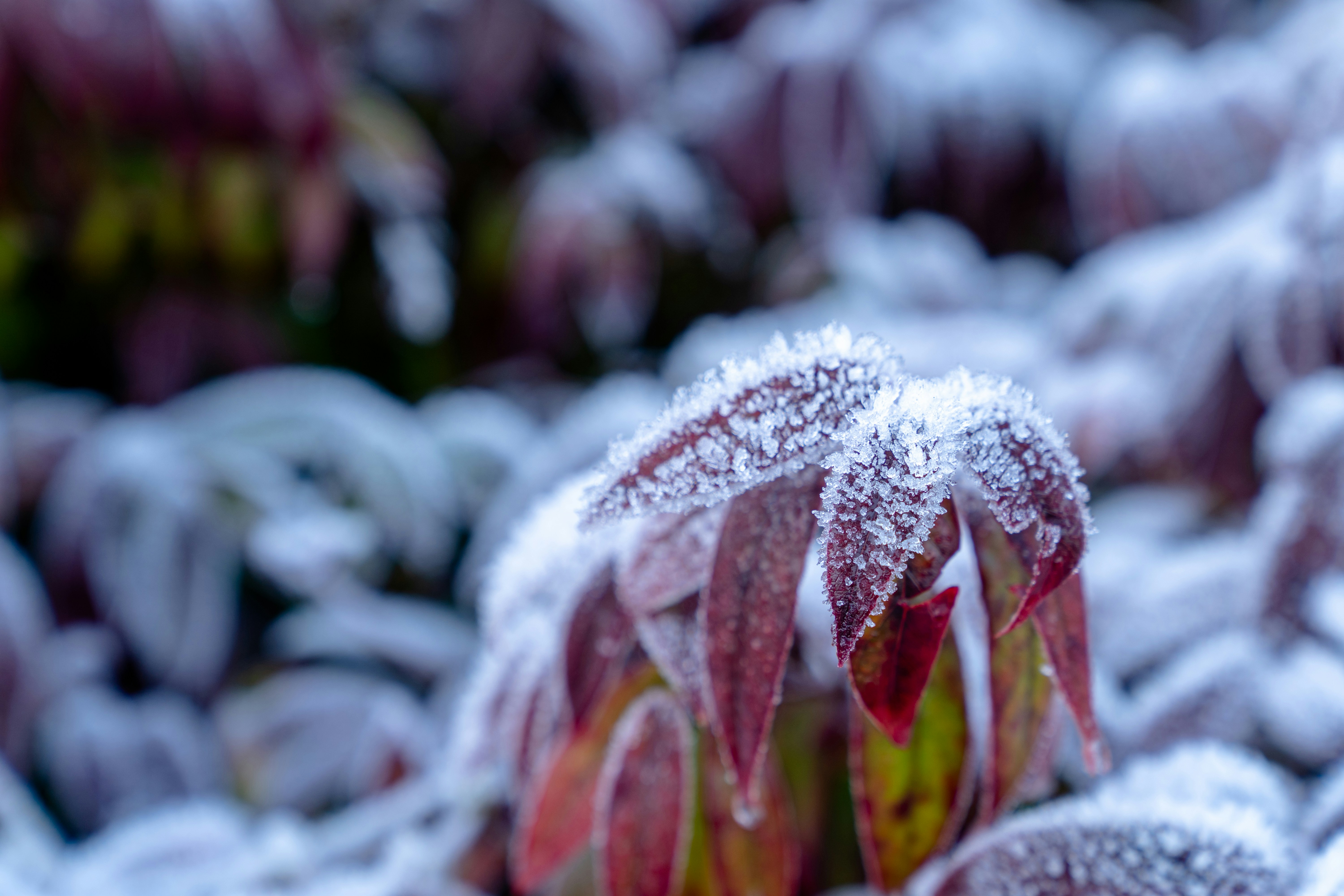 Photo by erikpeterson