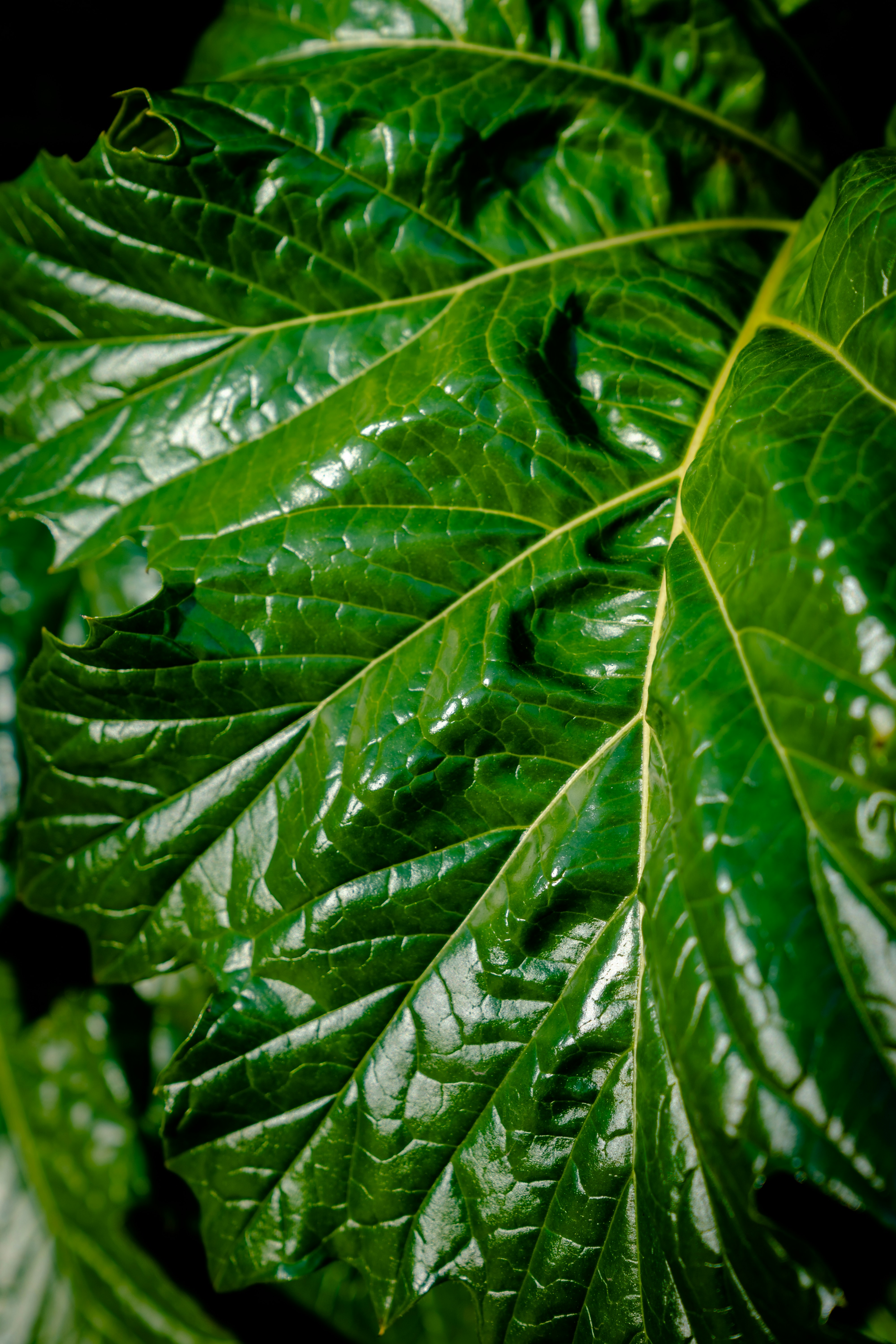 Photo by erikpeterson