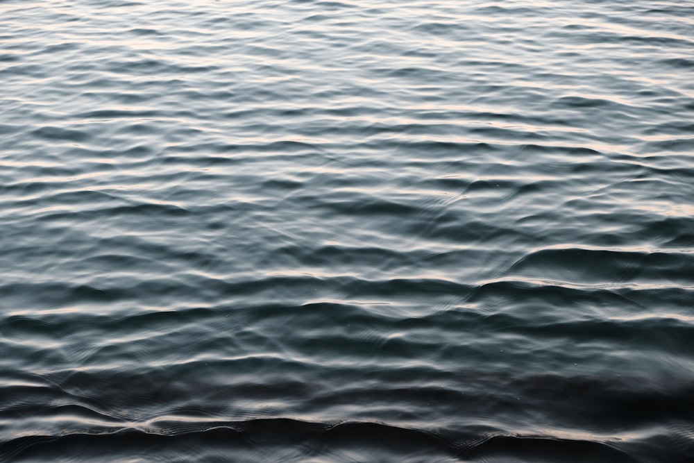 time lapse photography of rippling water