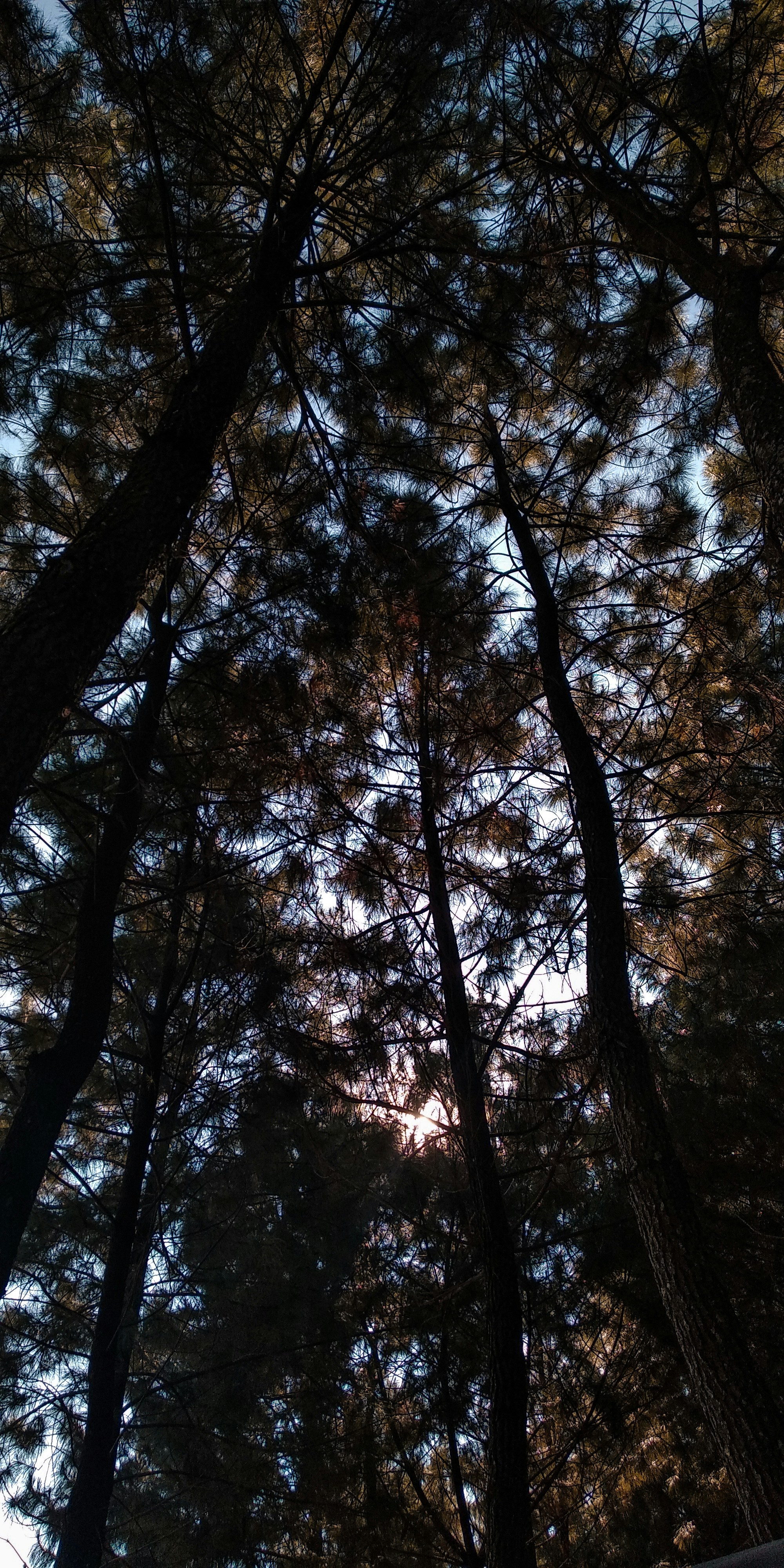 Photo by rinaldiakbar