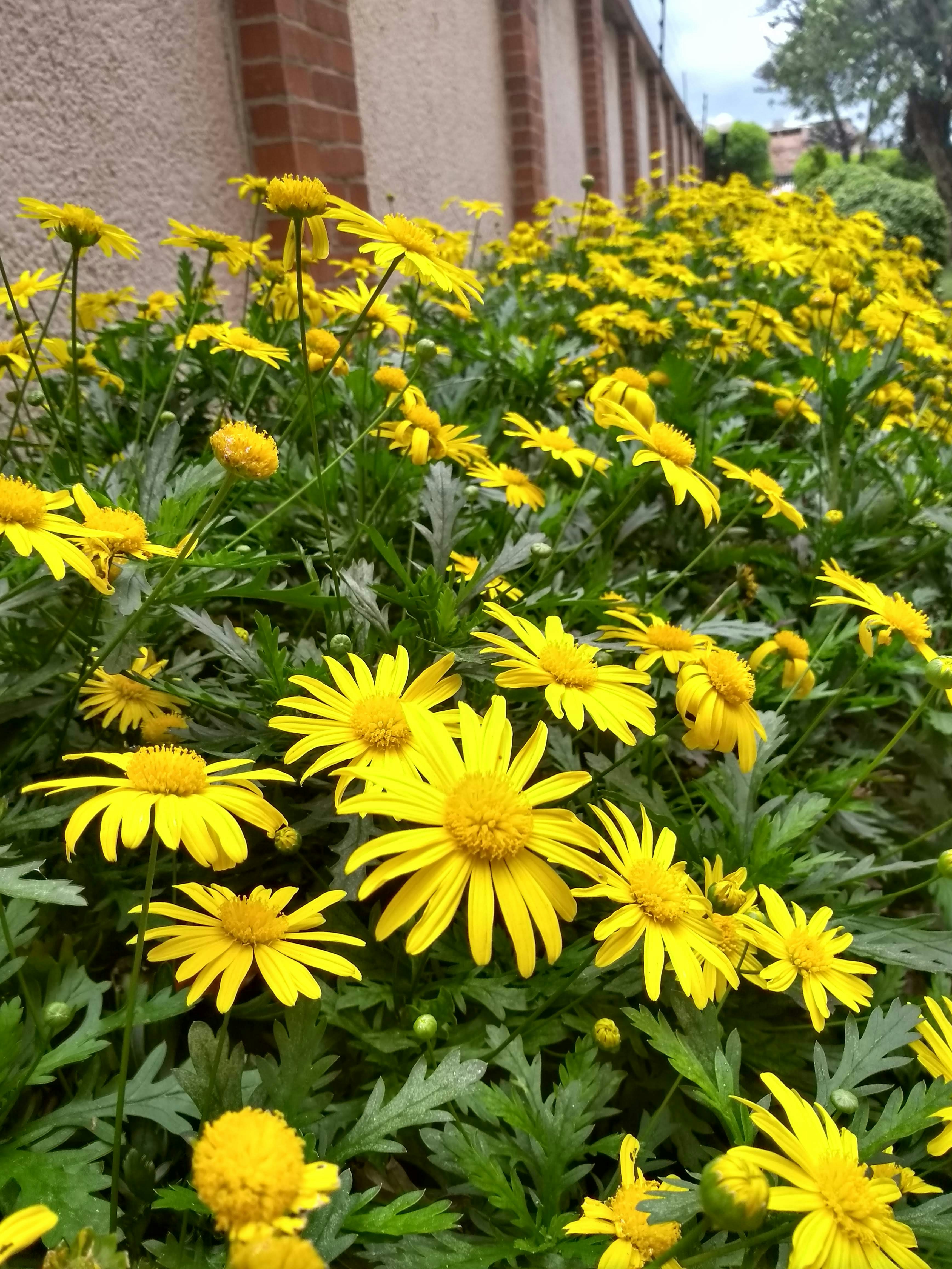 Photo by dolphinmaoj