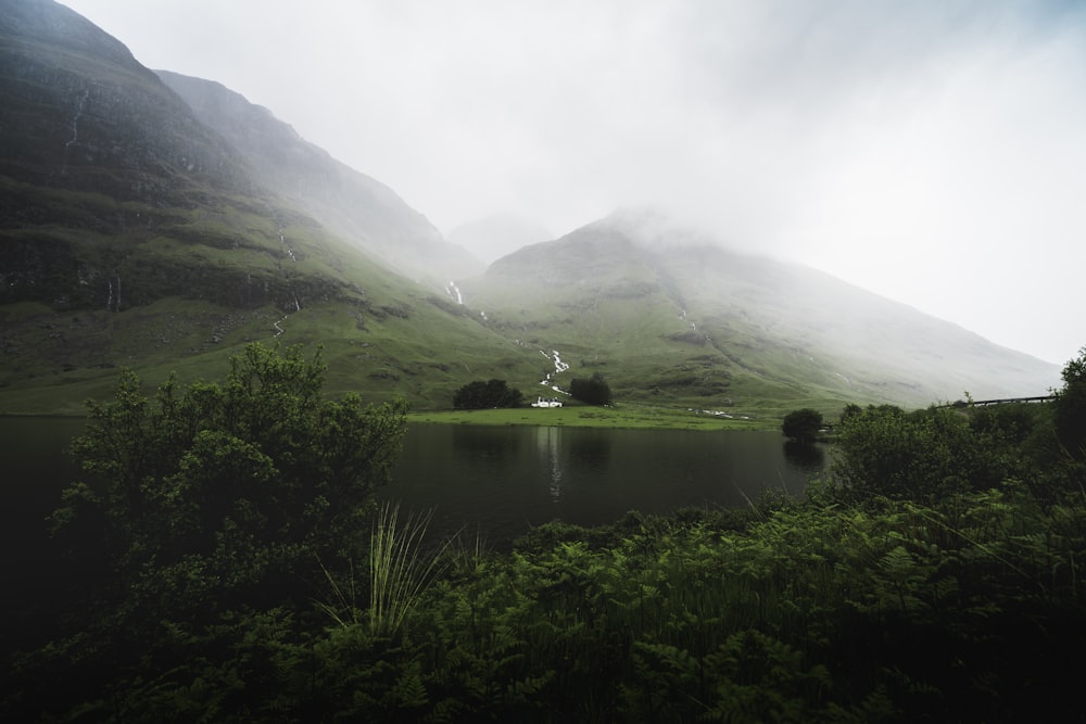 landscape photography of body of water surrounded by trees