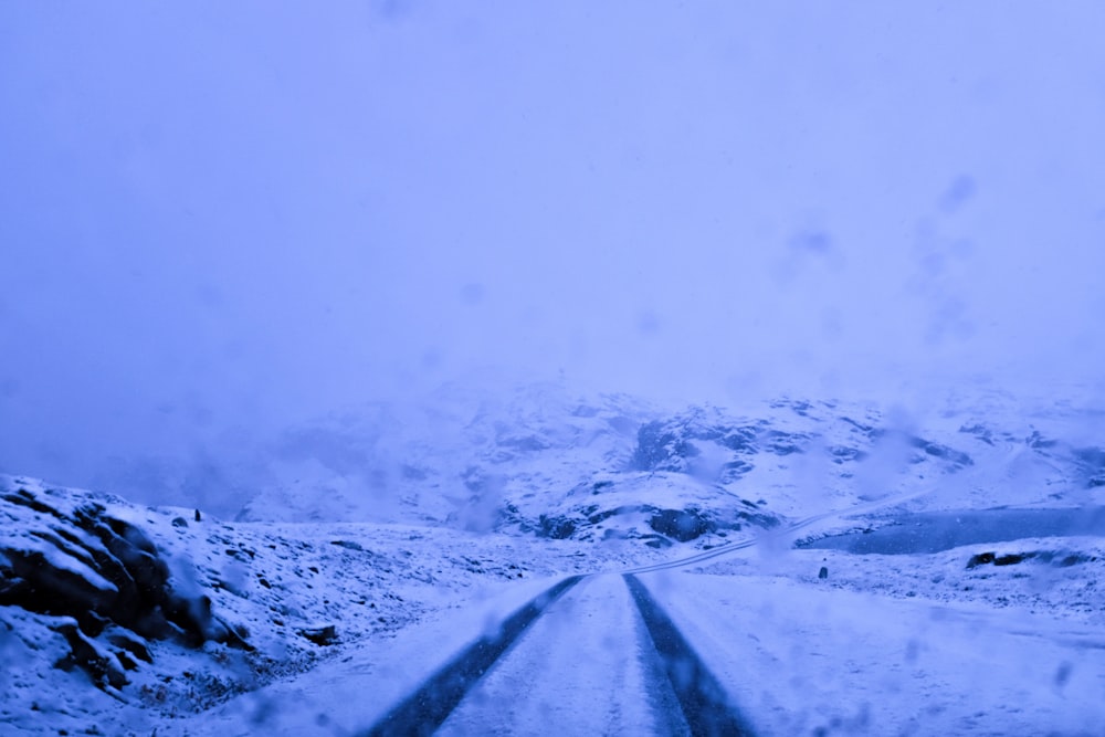 selective focus photography of snow field