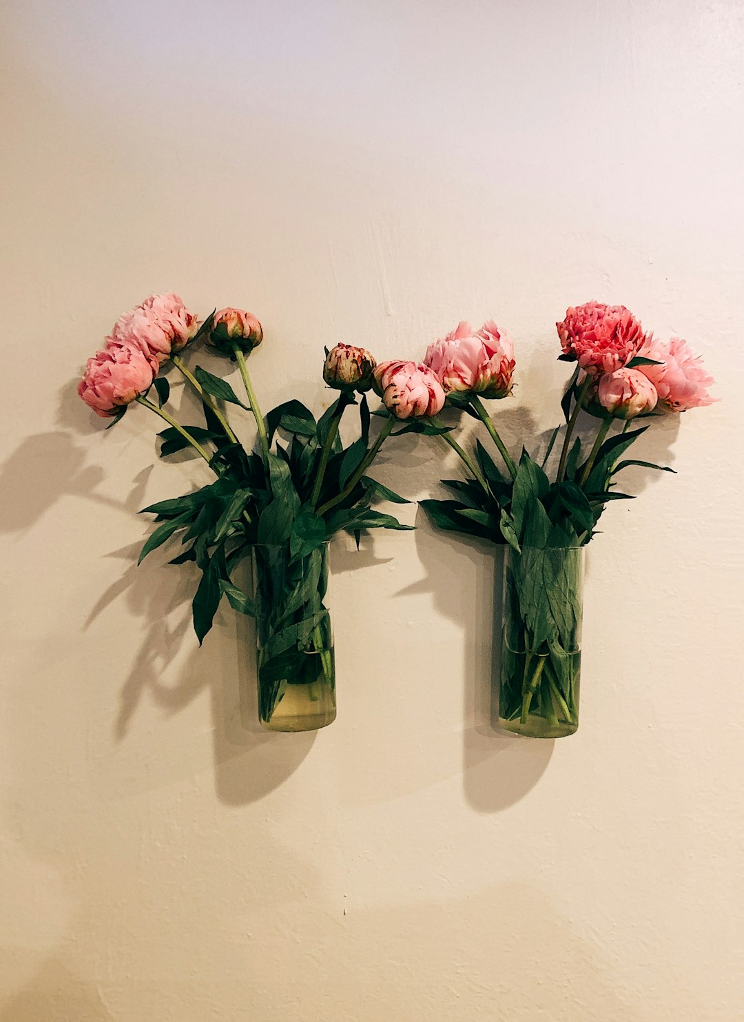 pink flowers on clear glass vases