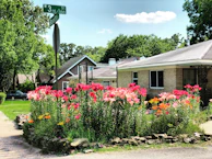 A vibrant flower garden bursting with seasonal blooms in a suburban yard.