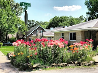 A well-maintained suburban garden is filled with vibrant pink, orange, and yellow flowers. The garden is located beside a single-story brick house with a gray roof. A street sign indicates 'W 3rd St' and 'Rosetta' at the intersection. Lush green trees are visible in the background against a clear blue sky.