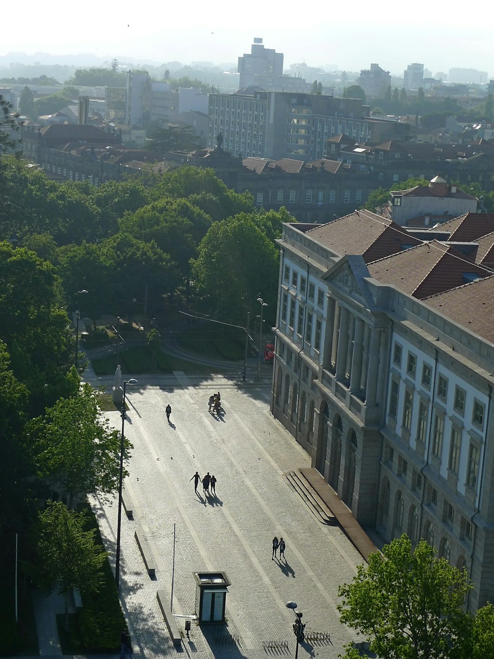 people walking on street