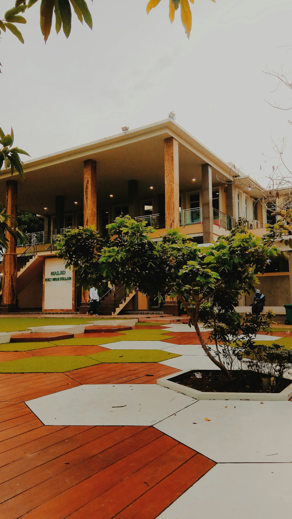 green plant across brown and white building