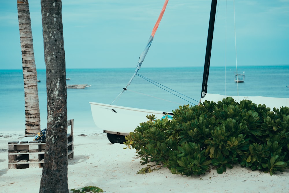 boat on shore near plant