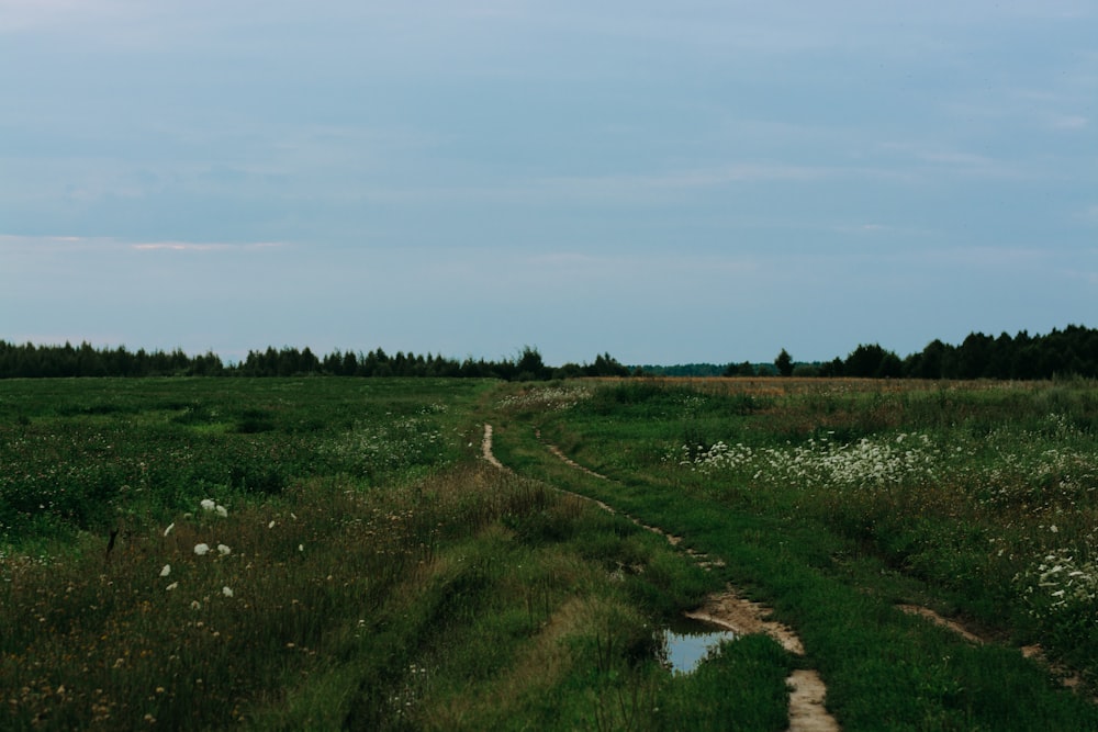 landscape photography of green grass field under calm blue sky during daytime