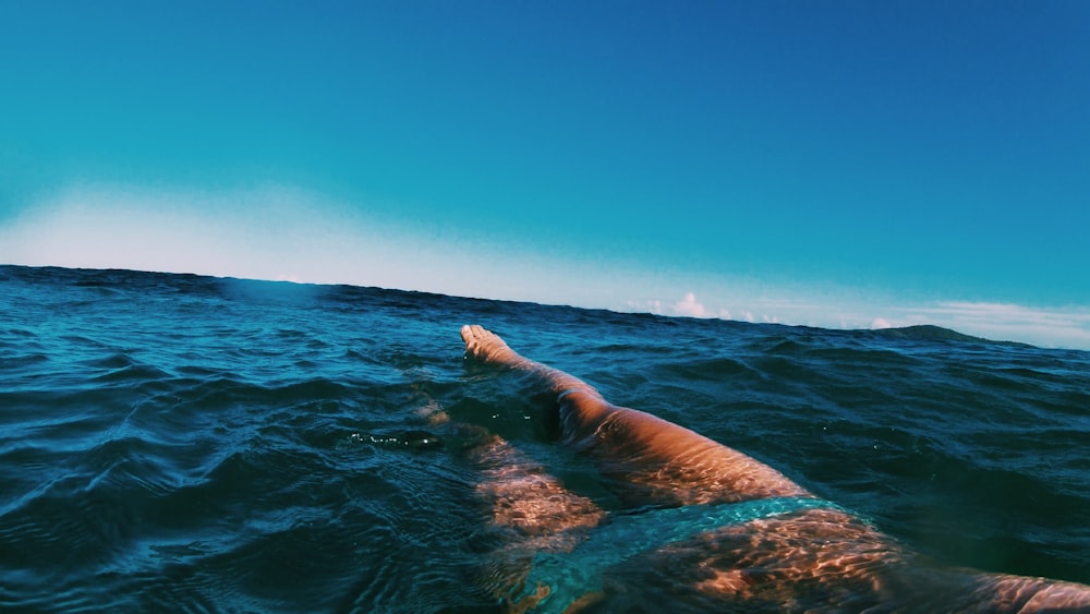 cuerpo de agua durante el día